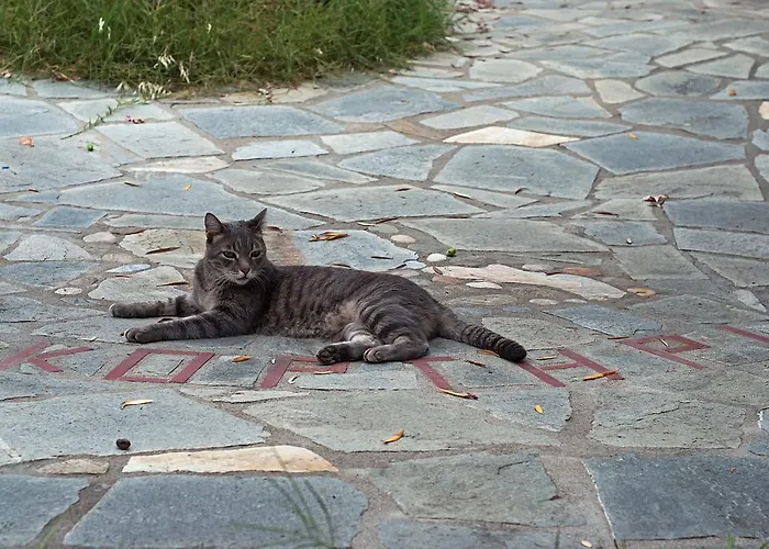 Kortiri